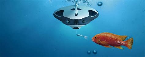 underwater drone  change  world  fishing underwater
