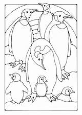 Penguin Icolor sketch template