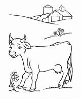 Coloring Cow Pages Farm Honkingdonkey Dairy Cattle sketch template