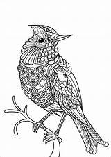 Mandala Bird sketch template