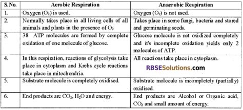 Rbse Solutions For Class 12 Biology Chapter 11 Respiration 2 – Rbse Guide