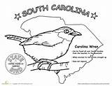 South Carolina Coloring State Bird Designlooter 57kb 270px sketch template