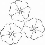 Poppy Coloring Printable Pages Flowers Template Remembrance Color Sheets Poppies Print Kids Drawing Colouring Craft Flower Small Printables Sheet Activities sketch template