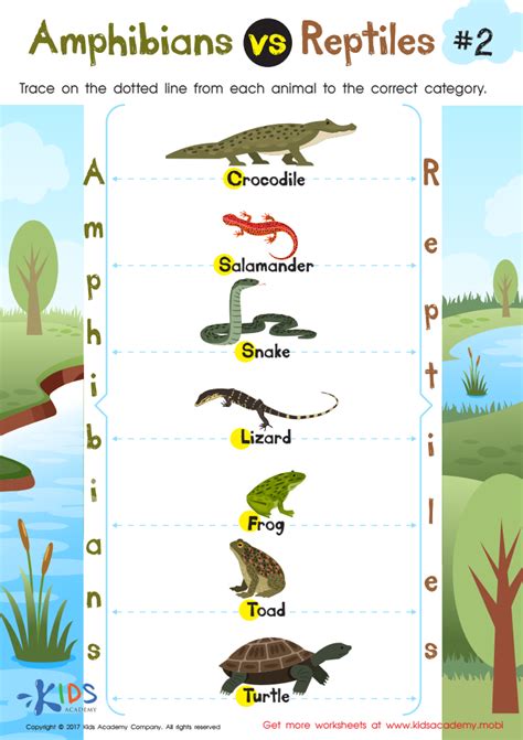 amphibians  reptiles worksheet   grade  printable   kids