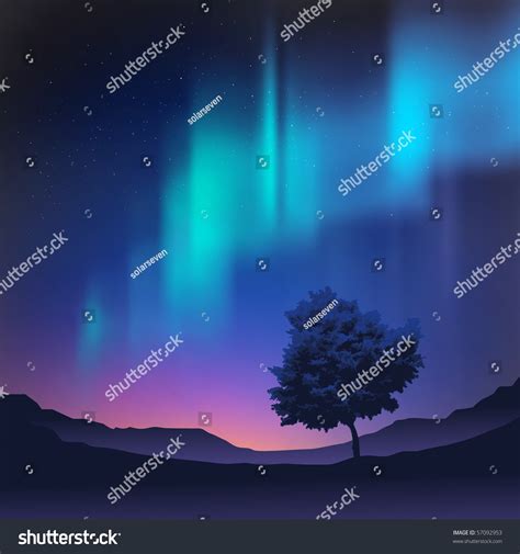 northern lights   tree   foreground vector illustration
