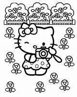 Kitty Hello Coloring Pages Beach Getcolorings Fancy Printable sketch template