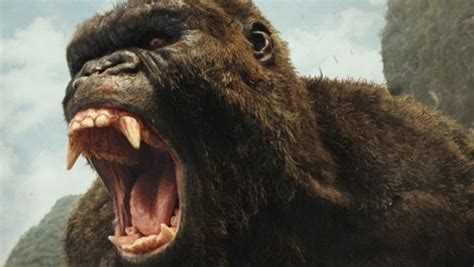 hairy truth king kong sports 70s sideburns on skull island
