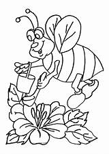 Bijen Dieren Animaatjes sketch template