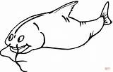Colorear Bagre Catfish sketch template