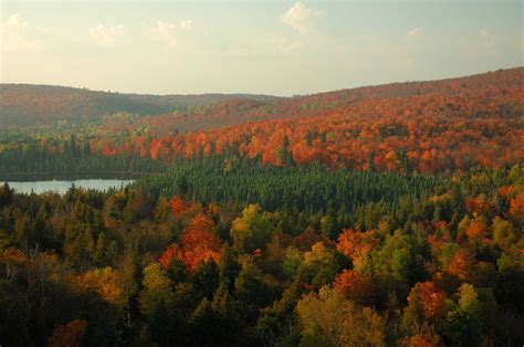dont   show   minnesota state forest fall color drives