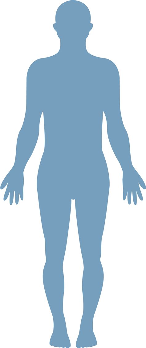 human body png png image collection