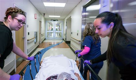 What To Expect At The Emergency Department Unm Health