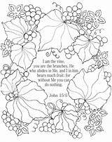 Coloring Vine Pages Bible Adults John 15 Vines Am Christian Flower Color Verse Nkjv Scripture Sheets Religious Story Sunday Kids sketch template