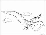 Pteranodon Pages Flying Coloring Color Print sketch template