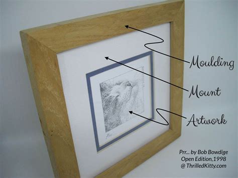 mount art  choose  frame thrilled kitty