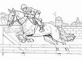 Equitation Cheval Paarden Paard Saut équitation Obstacle Wedstrijd Manege Rance équestre Resultat Volwassenen sketch template