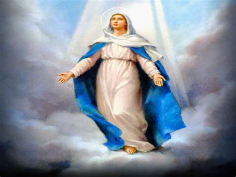 Holy Mass Images Blessed Virgin Mary Assumption