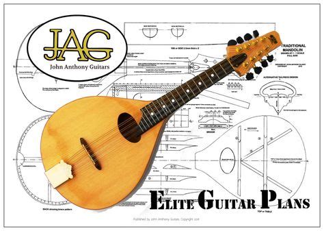 luthiers plan  build  type mandolin p mandolin   plan building