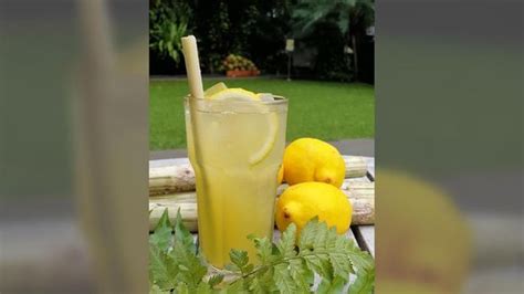membuat air lemon  manfaat mengejutkan lemon  kesehatan