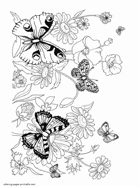 pictures  flowers  butterflies  color  coloring pages