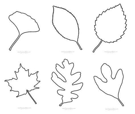fall leaf preschool printables autumn leaves art fall leaves