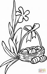 Easter Lily Coloring Pages Printable Drawing Clipart Color Version Click Lilies Basket Getdrawings Line Compatible Tablets Ipad Android Categories sketch template