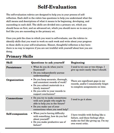 evaluation examples business mentor