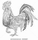 Adult Coloring Pages Color Rooster Ink Book Drawing Shutterstock Vector Contour Illustration Illustrations Drawn Artwork Hand Painting Choose Board Find sketch template