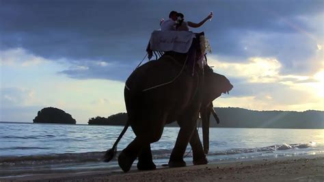krabi elephant marriage thai ceremony package luciana