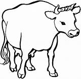 Cow Coloring Pages Cattle Printable Clipart Color Cliparts Drive Cows Kids Clipartbest Animal Super Para Animals Print 2009 Sheet Supercoloring sketch template