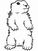 Groundhog Coloring Pages Clipart Ground Shadow Hog Color Preschool Printable Hole Standing Activities February Print Drawing Groundhogs Getdrawings Kids Ebook sketch template