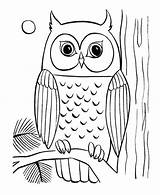 Owls Clipground sketch template