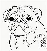 Pug Coloring Pages Print Puppy Printable Dog Pugs Drawing Face Baby Kids Sad Cute Template Color Easy Puppies Adults Drawings sketch template