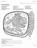  sketch template