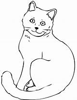 Cat Coloring Pages Template Colouring Color Adult Sketch Printable Kids Read Dog sketch template