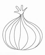 Onion Coloring Pages Onions Drawing Kids Gif Getdrawings sketch template