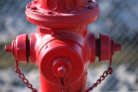 fire hydrant pictures images  stock  istock