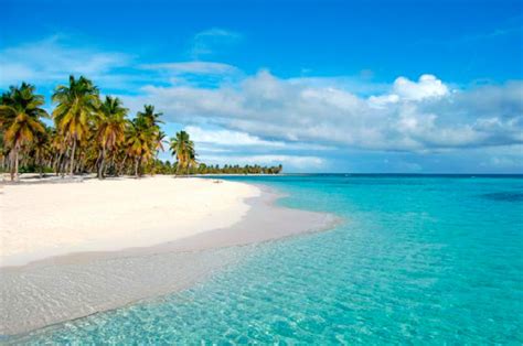 Saona Island Vip Canto De La Playa Dominican Republic