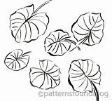 Lily Pad Coloring Pads sketch template