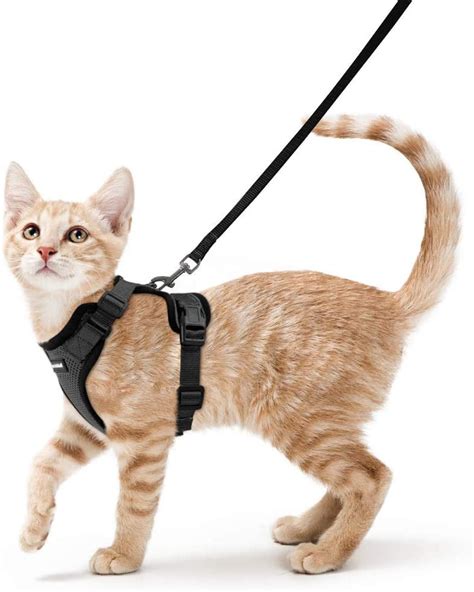 rabbitgoo cat harness and leash for walking escape proof soft