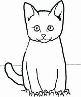 Cat Coloring Pages Easy Sitting Grass Printable Simple Funny Cartoon Scary Cats Drawing Color Kids Getcolorings Sheets Kitty Clipartmag Getdrawings sketch template