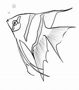 Angel Angelfish Ausmalbilder Malvorlagen Fische Fisch Sky Skalar Kaiserfisch Flame Ausmalen Coloringsky Printable Scegli Malvorlage sketch template