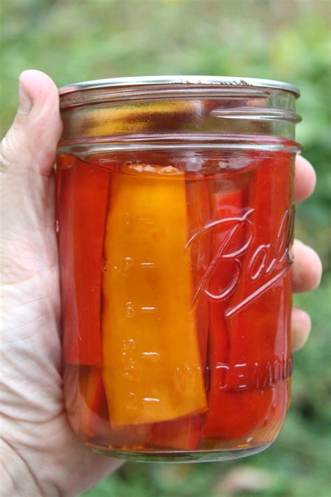 pickled pepper recipe  home canning