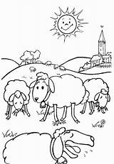Sheep Coloring Pages Color Coloring2print sketch template