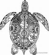 Zentangle Turtle Emily Mandalas sketch template