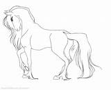 Friesian Getdrawings sketch template