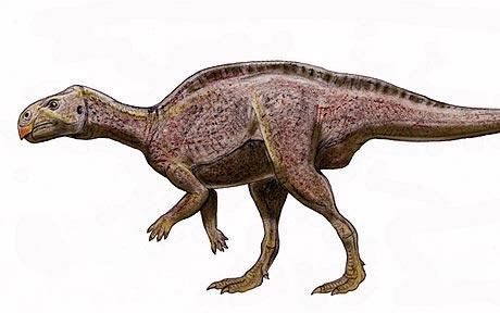 dinosaurs newsevolution  dinosaurdinosaur teeth backbone food