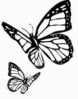 Butterfly Cartoon Coloring Drawing Clipart Two Library Popular sketch template