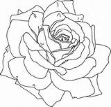 Flower Coloring Printable Pages Kids Rose sketch template