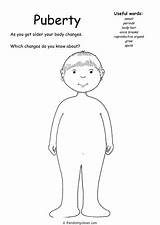 Puberty Resources Teaching Tes sketch template